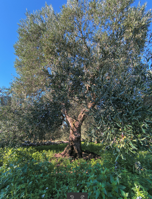 Il paesaggio che si rigenera